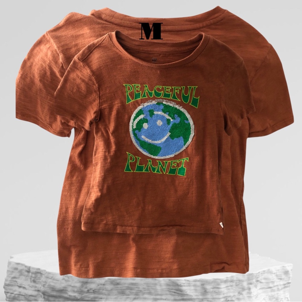 GAP Brown Short Sleeve Tee Earth Motif
